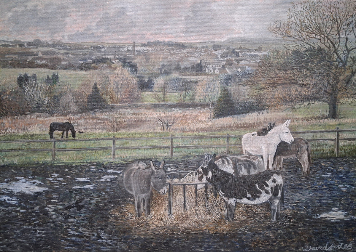 Lancashire Donkeys | Original Painting